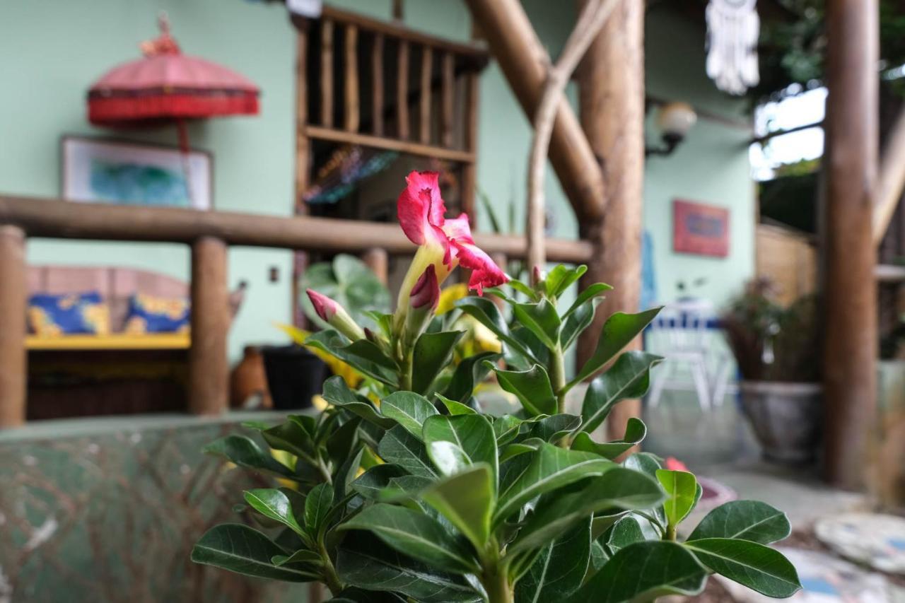 Gaia Gardens Pousada Araquari Buitenkant foto